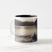 アメリカ、アラスカ、氷河ベイ国立公園。 ツートーンマグカップ (正面左)