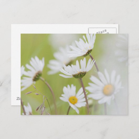 アメリカ、アラスカ、氷河ベイ国立公園 ポストカード (正面/裏面)