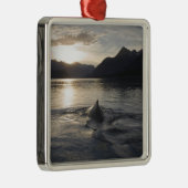 アメリカ、アラスカ、氷河ベイ国立公園。 メタルオーナメント (右)