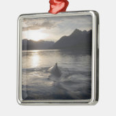 アメリカ、アラスカ、氷河ベイ国立公園。 メタルオーナメント (左)