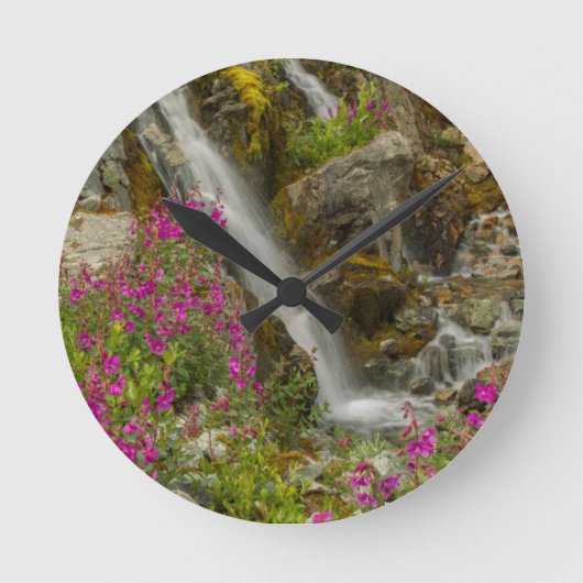 アメリカ、アラスカ、氷河ベイ国立公園。火草 ラウンド壁時計 (正面)