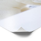 アメリカ、アラスカ、1002年の北極海平原 フォトプリント            (角)