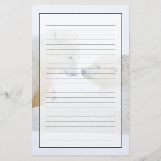 アメリカ、アラスカ、1002年の北極海平原 便箋 (正面)