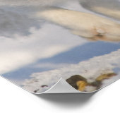 アメリカ、アラスカ、1002年のANWRの沿岸平野。An 3 ポスター (角)