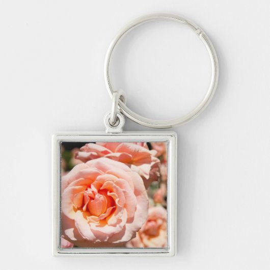 アメリカ、アラバマ、セオドアニアモバイル5 キーホルダー (正面)