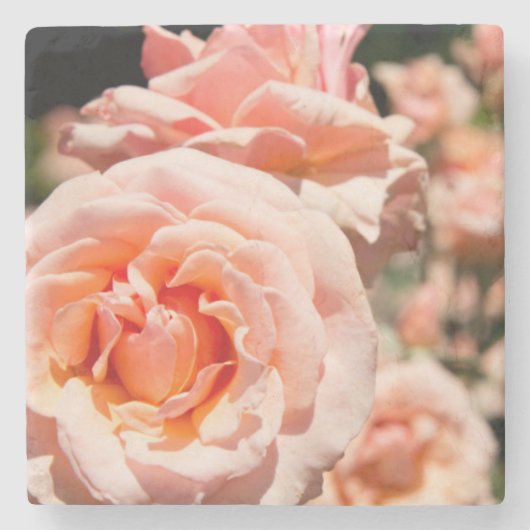 アメリカ、アラバマ、セオドアニアモバイル5 ストーンコースター (正面)