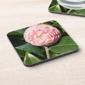 アメリカ、アラバマ、セオドアニアモバイル コースター (左側)