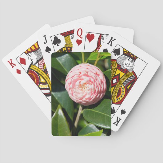 アメリカ、アラバマ、セオドアニアモバイル トランプ (裏面)