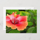 アメリカ，アラバマ，テオドール近郊4 ポストカード (正面/裏面)