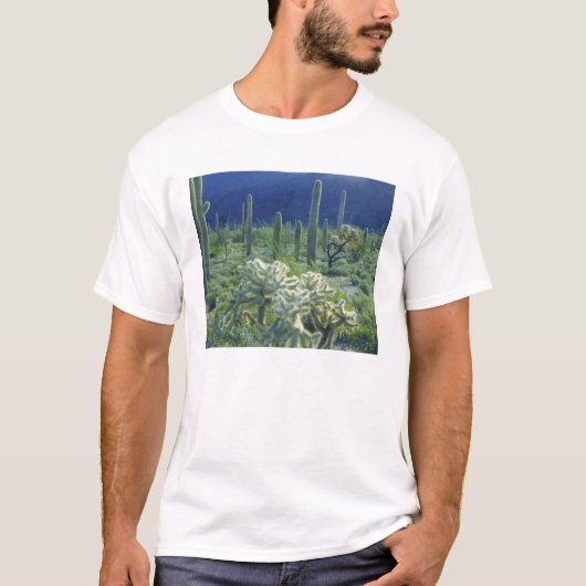 アメリカ アリゾナ州 オーガンパイプカクタス国立 Tシャツ (正面)