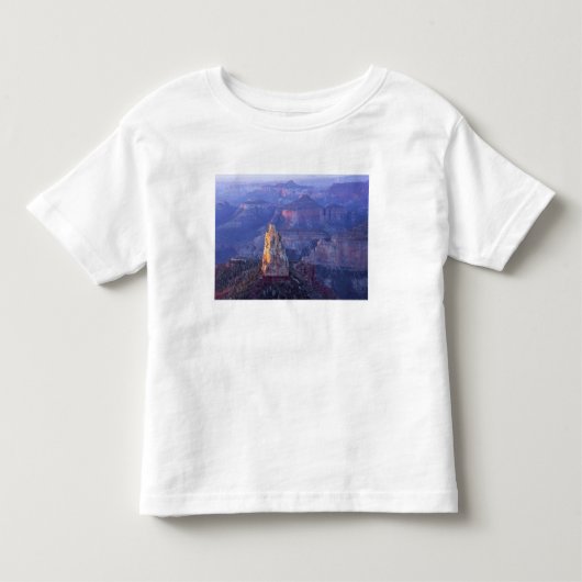 アメリカ アリゾナ州 グランドキャニオン国立公園 景色 トドラーTシャツ (正面)