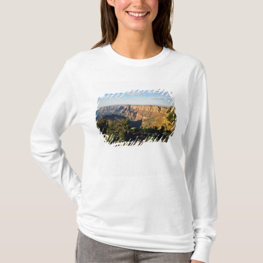 アメリカ、アリゾナ州、グランドキャニオン国立公園、景色 Tシャツ (正面)