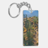 アメリカ アリゾナ州 デザートビュー キーホルダー (正面左)