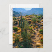 アメリカ アリゾナ州 デザートビュー ポストカード (正面/裏面)