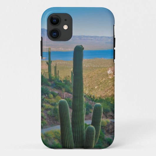 アメリカ アリゾナ州。トント自然保護区の入口からの眺め Case-Mate iPhoneケース (裏面)