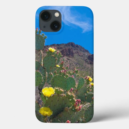 アメリカ、アリゾナ州。丘の中のサボテン Case-Mate iPhoneケース (裏面)