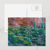 アメリカ、アリゾナ州。砂漠の植物相 ポストカード (正面/裏面)