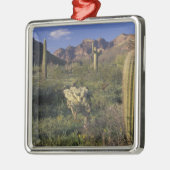 アメリカ、アリゾナ、オルガンパイプ国記念碑。 メタルオーナメント (左)