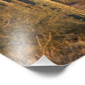 アメリカ、アリゾナ、ソノラン砂漠、アホ、アホ2 フォトプリント (角)