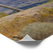 アメリカ、アリゾナ、ハバスシティ湖。次の灯台 ポスター (角)