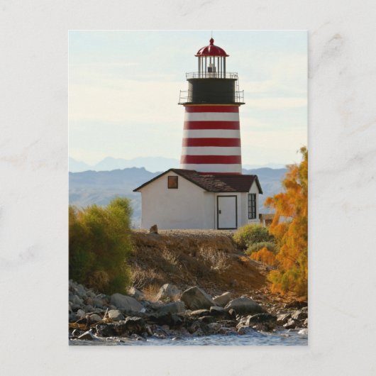 アメリカ、アリゾナ、ハバスシティ湖。西のビュー ポストカード (正面)