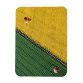 アメリカ、アリゾナ、ヴァル・ビスタ。熱気球が舞い上がる マグネット (縦)