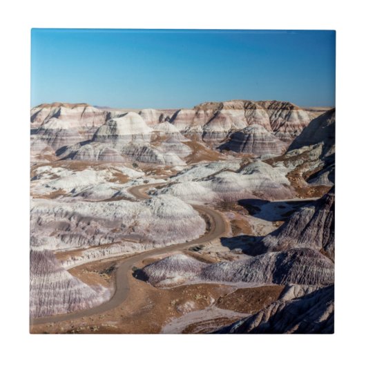 アメリカ、アリゾナ、森林公園 タイル (正面)