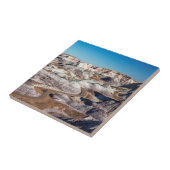 アメリカ、アリゾナ、森林公園 タイル (側面)