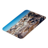 アメリカ、アリゾナ、森林公園 マグネット (左側)