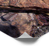 アメリカ，アリゾナ，森林公園， 2 ポスター (角)