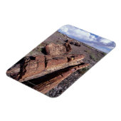 アメリカ，アリゾナ，森林公園， 2 マグネット (左側)