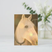 アメリカ・アンダルシアのはがき ポストカード (スタンド正面)