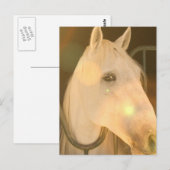 アメリカ・アンダルシアのはがき ポストカード (正面/裏面)