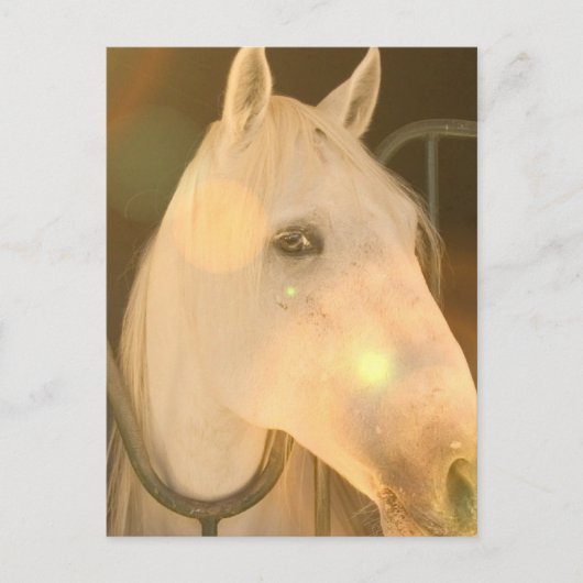 アメリカ・アンダルシアのはがき ポストカード (正面)