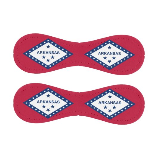 アメリカ・アーカンソー州旗を持つ愛国野球 野球ボール (パネル)