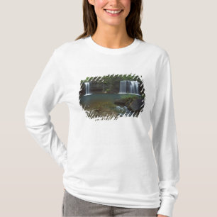 アメリカ, アーカンソー州, オザークセントフランシス国立 Tシャツ