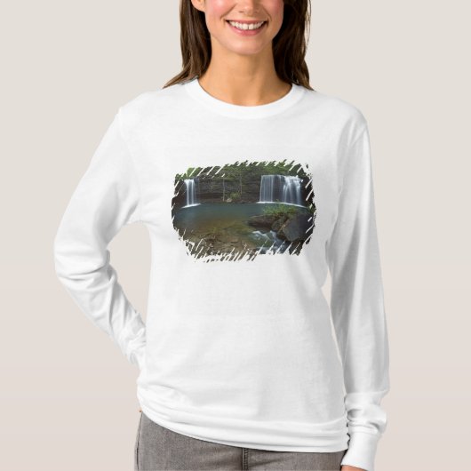 アメリカ, アーカンソー州, オザークセントフランシス国立 Tシャツ (正面)