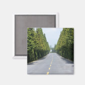 アメリカ、イエローストーン国立公園、トレリンロード マグネット (正面/裏面)