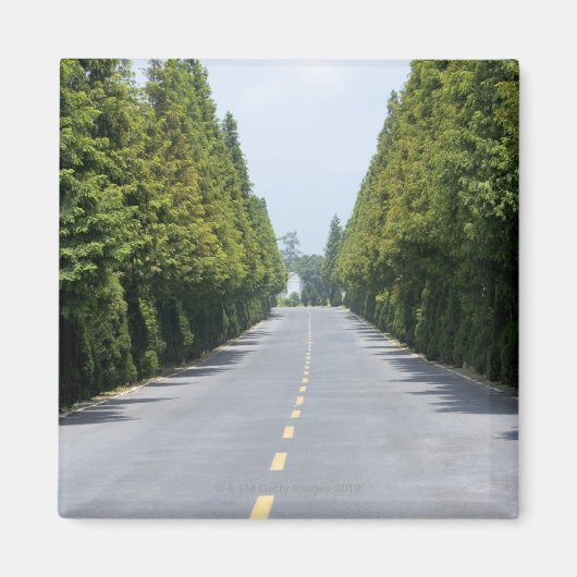 アメリカ、イエローストーン国立公園、トレリンロード マグネット (正面)