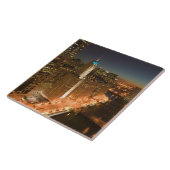 アメリカ、イリノイ、シカゴ：ループ：建物 タイル (側面)