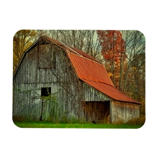 アメリカ、インディアナ州。農村風景、つる植物被覆納屋 マグネット (横)