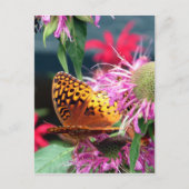 アメリカ – インディアナ – ブラウンカウンティ州パーク ポストカード (正面)