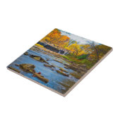 アメリカ、インディアナ。白内障滝州保養 タイル (側面)