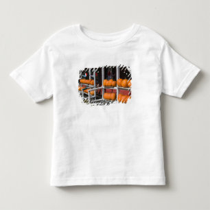 アメリカ、ウィスコンシン州、ウォシュバーン：スペリオル湖の湖岸、 トドラーTシャツ