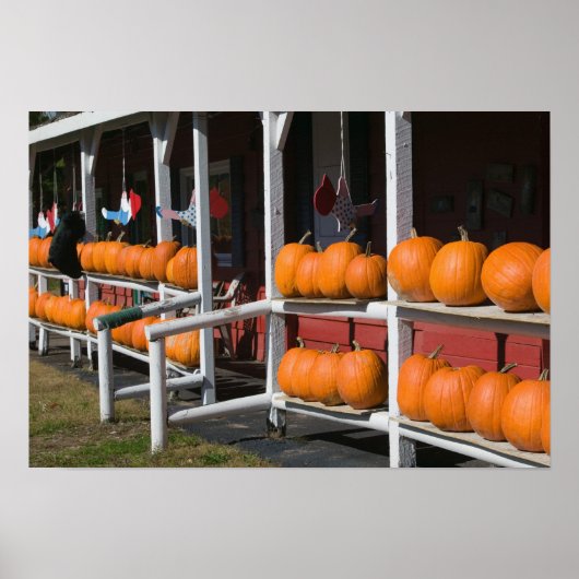 アメリカ、ウィスコンシン州、ウォッシュバーン:スペリオール湖 ポスター (正面)