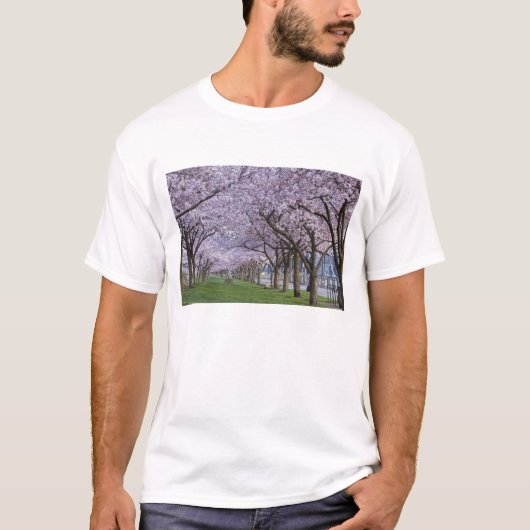アメリカ、ウィラメッテ川沿いの桜 Tシャツ (正面)
