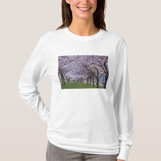 アメリカ、ウィラメッテ川沿いの桜 Tシャツ (正面)