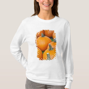 アメリカ, ウェストバージニア州, チャールストン. 議事堂 2 Tシャツ