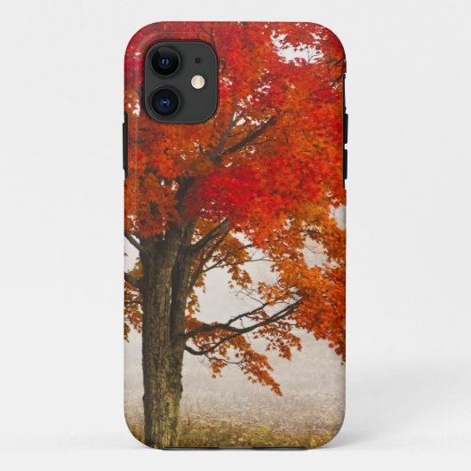 アメリカ、ウェストバージニア州、デイビス。秋の紅葉したカエデ Case-Mate iPhoneケース (裏面)