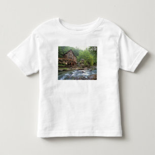 アメリカ、ウェストバージニア州、バブコック州立公園。ルスティック・グレイド トドラーTシャツ